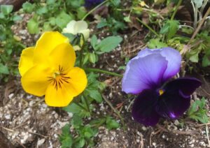 WhatsApp Image 2020-04-15 at 00.13.50 (1)